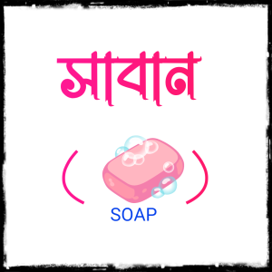 SOAP